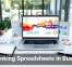 Cyber Hygiene: Simple Steps To Stay Secure